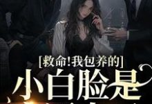 小说《救命！我包养的小白脸是京圈太子》章节阅读-艾米文学