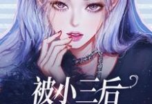 被小三后,我独自美丽了!小说有没有完整的免费版本在线阅读?-艾米文学