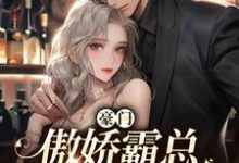 豪门:傲娇霸总宠妻无度小说的最新章节在哪里更新?免费追踪阅读-艾米文学