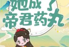 主角楼柒沉煞陈十轩辕战小说完结版在线阅读，穿越后，她成了帝君药丸免费看-艾米文学