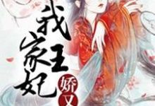 在线寻找秦娆沈清渊南宫芸北夜的小说，我家王妃娇又萌免费阅读-艾米文学