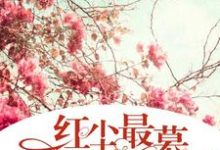 红尘最慕是安年小说，红尘最慕是安年免费阅读-艾米文学