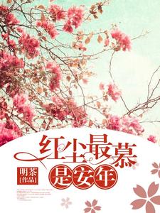 红尘最慕是安年小说，红尘最慕是安年免费阅读