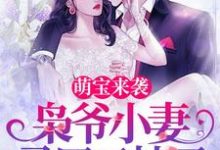 哪里可以免费读到言西澄陆乘枭的完整故事?寻找萌宝来袭,枭爷小妻马甲又掉了-艾米文学
