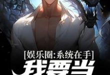 娱乐圈：系统在手，我要当音乐天王章节免费在线阅读，苏晨完结版-艾米文学