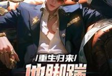 重生归来,他脚踹渣女未婚妻这本小说怎么样?免费在线阅读试试-艾米文学