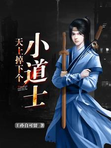 天上掉下个小道士苏明俊秦韵，天上掉下个小道士章节在线阅读