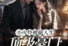 小说《小可怜被偷人生，顶级豪门来团宠》章节阅读-艾米文学