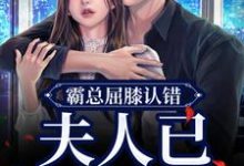 免费阅读 云柠顾司礼为主角的小说,霸总屈膝认错,夫人已挫骨扬灰在线看-艾米文学