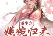 重生之嬿婉归来大杀四方这本小说完结了吗？免费查看最新章节-艾米文学