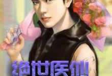 完结版《绝世医仙在打工》免费阅读-艾米文学
