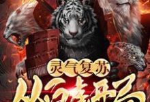 完结版《灵气复苏:从白虎开局》章节目录在线阅读-艾米文学