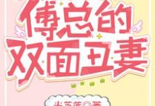 寻找能够免费阅读三宝联盟：傅总的双面丑妻小说的平台-艾米文学