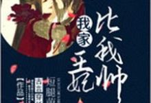 我家王妃比我帅小说，我家王妃比我帅免费阅读-艾米文学