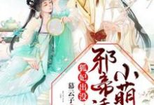 免费阅读祁云初圣月邪为主角的小说，狐妃出没：邪帝诱宠小萌妃在线看-艾米文学