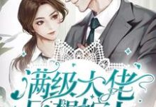 男女主人公叫 苏芩傅夜天的小说免费资源-艾米文学