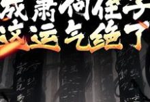 开局成萧何侄子，这运气绝了小说，开局成萧何侄子，这运气绝了最新章节-艾米文学