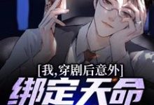 林宇为主角的小说我,穿剧后意外绑定天命反派系统在线阅读-艾米文学