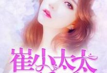 崔小太太要翻身小说最新更新在哪里?免费在线看-艾米文学