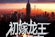 初嫁龙王:走阴妻小说无弹窗阅读的网站推荐-艾米文学
