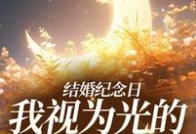 《结婚纪念日，我视为光的老公出轨了》小说大结局免费试读 尹禾月宋屿舟小说-艾米文学