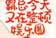 灵魂互换：霸总今天又在整顿娱乐圈小说，灵魂互换：霸总今天又在整顿娱乐圈章节在线阅读-艾米文学