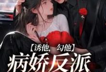 诱他，勾他，病娇反派快上钩小说全文哪里可以免费看？-艾米文学