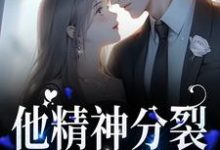 容书蔺回寻的完整故事在哪里？读他精神分裂，但和你契合小说-艾米文学