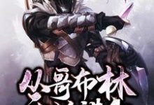 从哥布林开始进化小说全文阅读需要付费吗？寻找免费资源-艾米文学