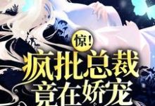 叶汐褚西廷姜墨远钟欣是哪本书的主角?寻找惊!疯批总裁竟在娇宠入狱罪妻免费阅读-艾米文学