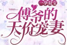 一孕双宝:傅爷的天价宠妻这本小说怎么样?免费在线阅读试试-艾米文学