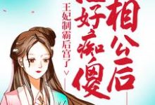 治好痴傻相公后，王妃制霸后宫了小说无弹窗阅读的网站推荐-艾米文学