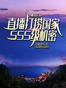 神级系统：直播打捞国家SSS级机密免费阅读，神级系统：直播打捞国家SSS级机密章节在线阅读