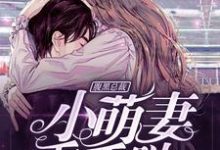 腹黑总裁:小萌妻,乖乖哒小说有没有完整的免费版本在线阅读?-艾米文学