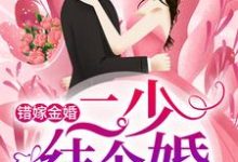 已完结小说《错嫁金婚：二少，结个婚？》最新章节-艾米文学