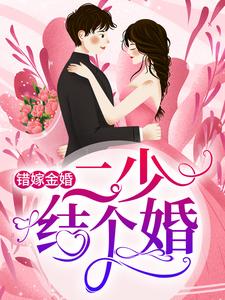 已完结小说《错嫁金婚：二少，结个婚？》最新章节