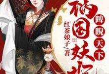 免费看祸国妖妃睥睨天下小说的网站有哪些？-艾米文学