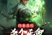 四象真传，杀个天命不是简简单单楚轻舟，四象真传，杀个天命不是简简单单小说免费阅读-艾米文学