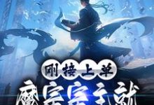 已完结小说《刚接上单，魔宗宗主就让我弃暗投明》章节在线阅读-艾米文学