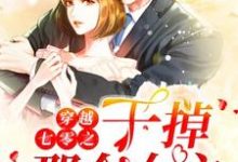 主人公夏禾宋继安小说穿越七零之干掉那个女主在线章节阅读-艾米文学