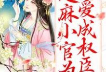 甜宠：芝麻小官为爱成权臣了这本小说在哪里可以看？哪里有免费试读章节？-艾米文学