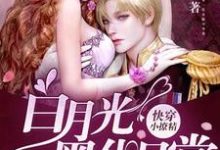 求快穿小撩精：白月光黑化日常小说免费资源-艾米文学