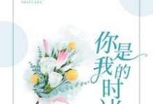 免费看你是我的时光小说的网站有哪些?-艾米文学