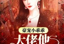 完结版《豪宠小乖乖,大佬他宠妻无价》章节阅读-艾米文学