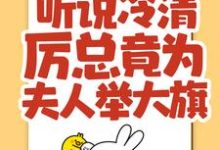 完结版《听说冷清厉总竟为夫人举大旗!》免费阅读-艾米文学