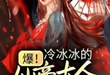 小说《爆！冷冰冰的仙帝大人下凡宠妻》在线章节阅读-艾米文学