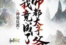 已完结小说《神豪反派:我竟成了帝都太子爷》章节在线阅读-艾米文学