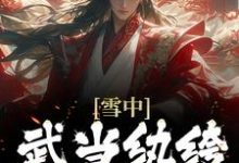 免费阅读苏逸之为主角的小说,雪中:武当纨绔,我悟性逆天在线看-艾米文学