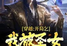 穿越：开局乞丐，我被圣女表白了小说，穿越：开局乞丐，我被圣女表白了章节在线阅读-艾米文学