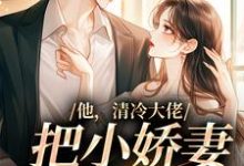 男女主人公叫白若霍翊琛的小说免费资源-艾米文学